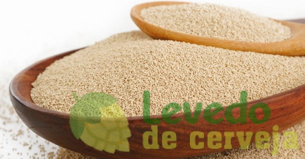 Levedo de Cerveja: Benefícios e Como Tomar