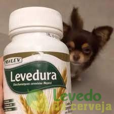 Levedo de Cerveja para Cachorro
