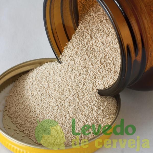 Onde Encontrar Levedura de Cerveja