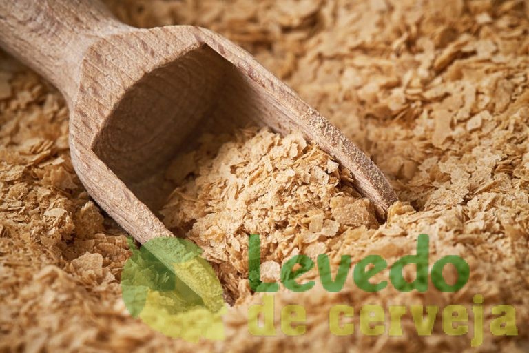 Poder das Vitaminas no Levedo de Cerveja
