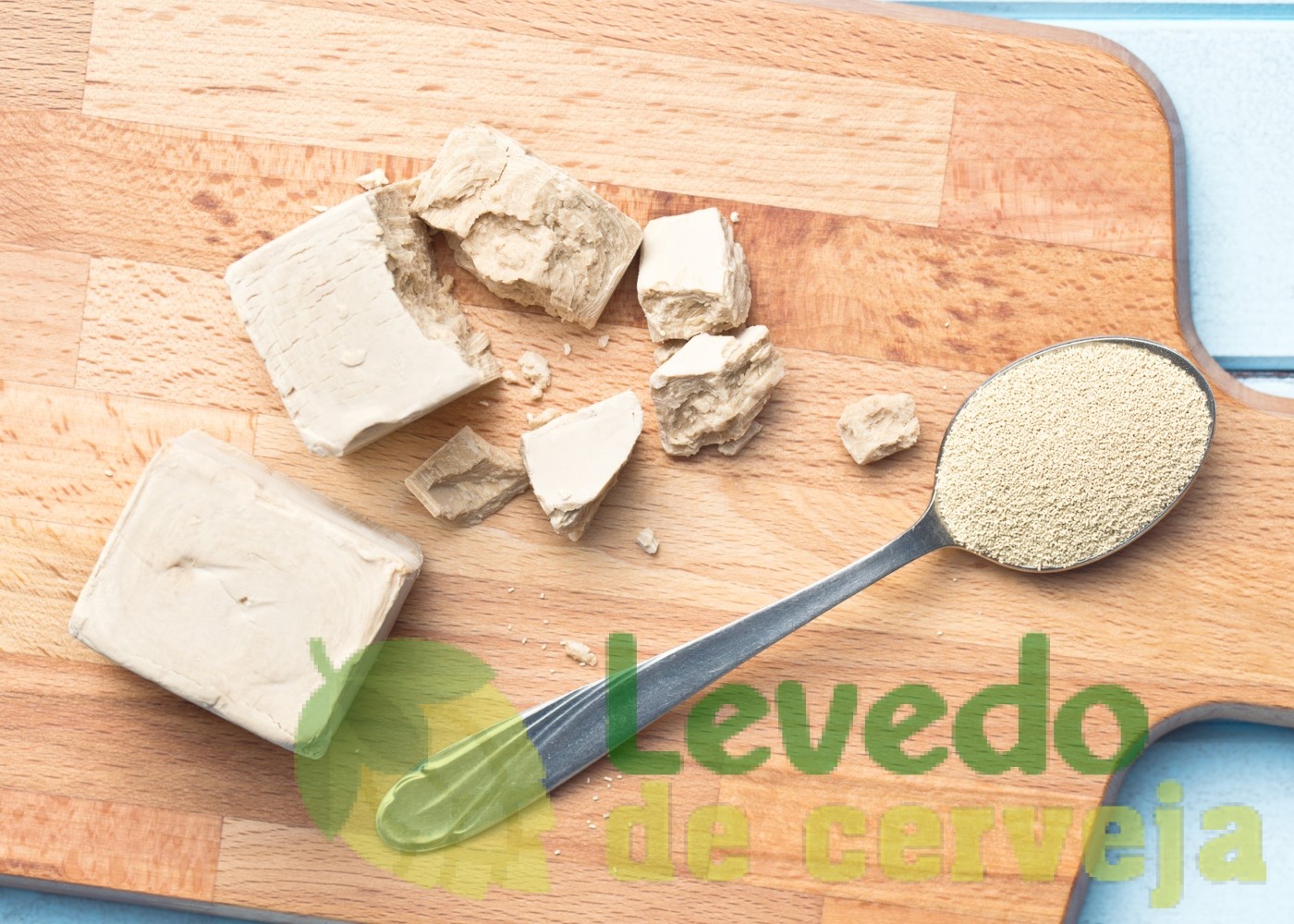 riqueza nutricional do levedo de cerveja