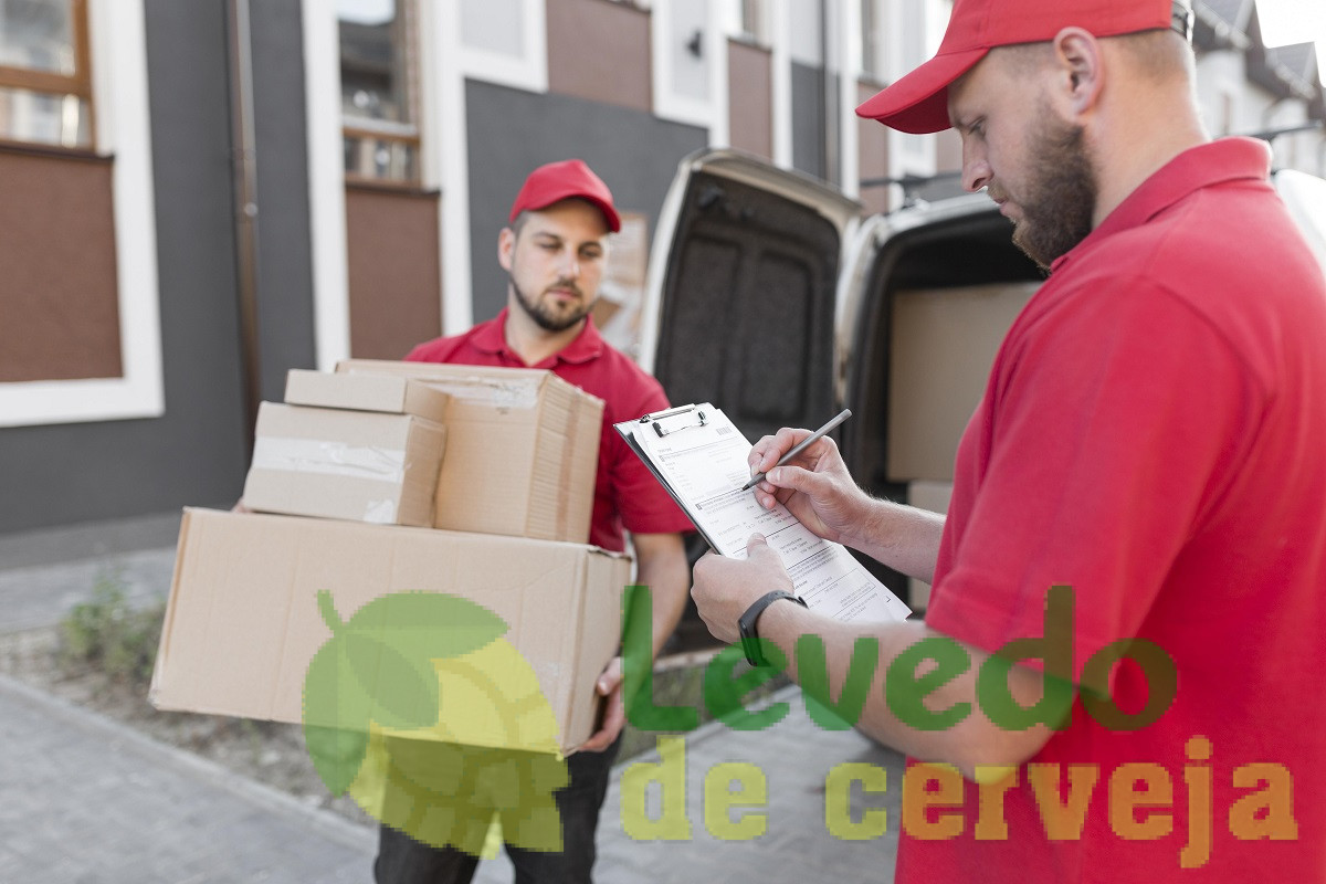 Guia completo para mudanças residenciais