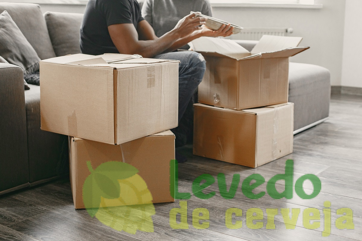 Caixas de mudança